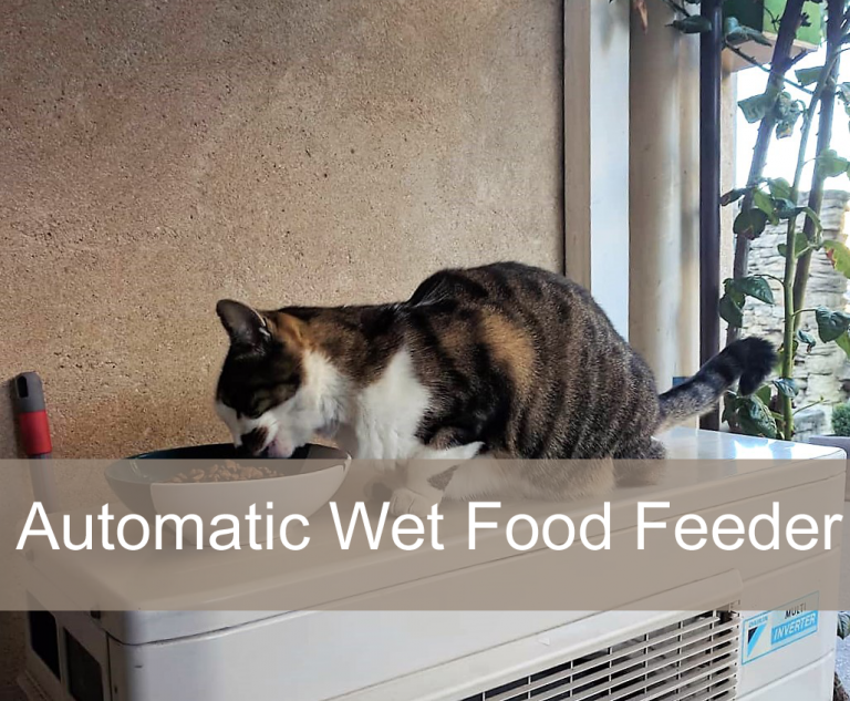 Best Automatic Cat Feeder For Wet Food & Dry Food (Buying Guide