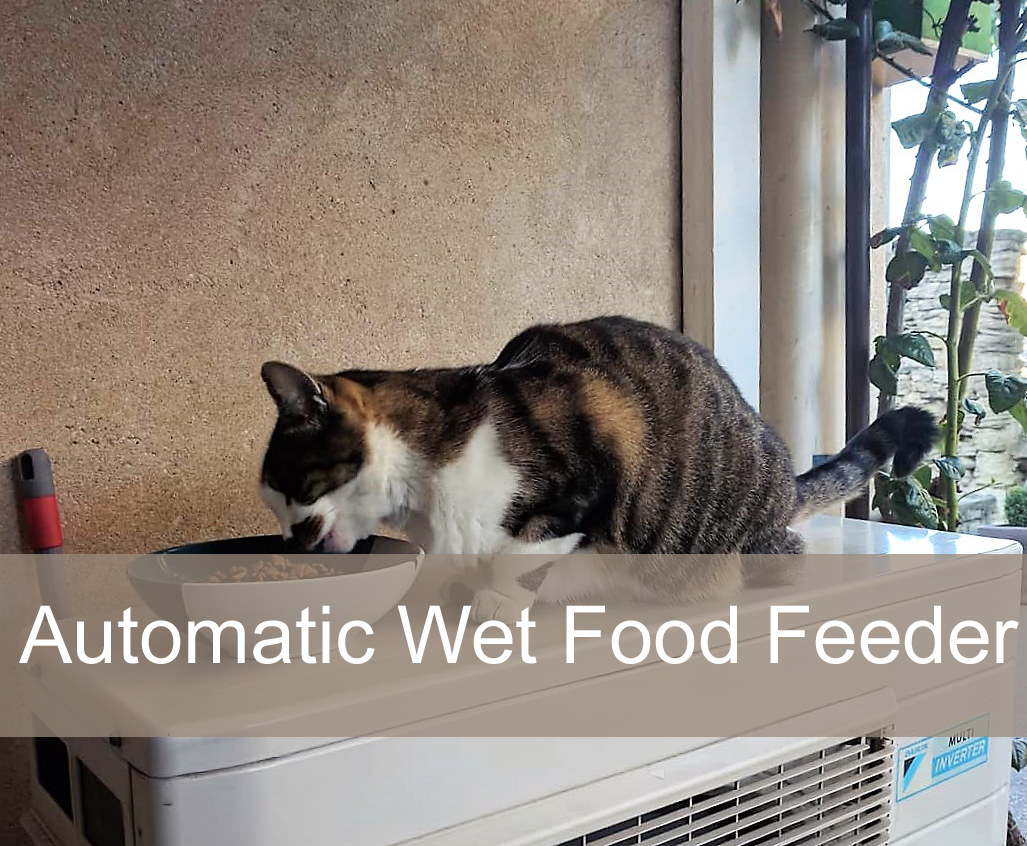 automatic cat feeder app